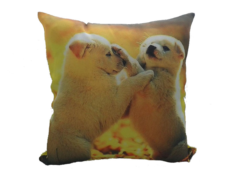 Decorative Pillow, Digital Printing Sofa Cotton Cushion Cover