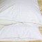 100%  bamboo Zippered Water proof Pillow Protector