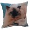 Decorative Pillow, Digital Printing Sofa Cotton Cushion Cover