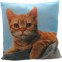 Decorative Pillow, Digital Printing Sofa Cotton Cushion Cover