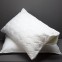 100% Cotton Zippered Water proof Pillow protector