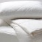 100% Cotton Zippered Water proof Pillow protector